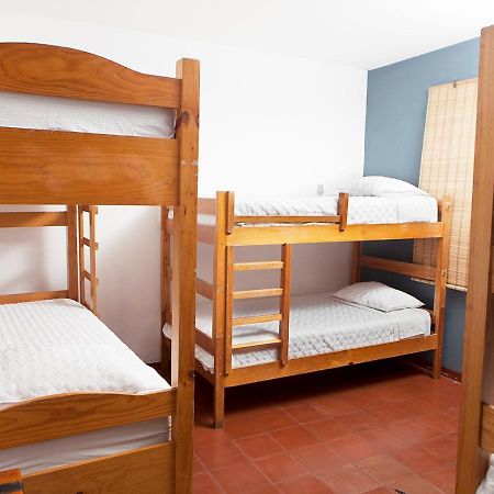 Quetzalroo Hostel Guatemala City ภายนอก รูปภาพ